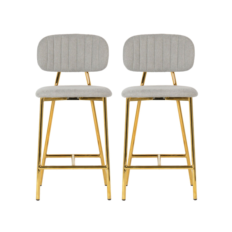 Ariana Grey Counter Stool (Set of 2)