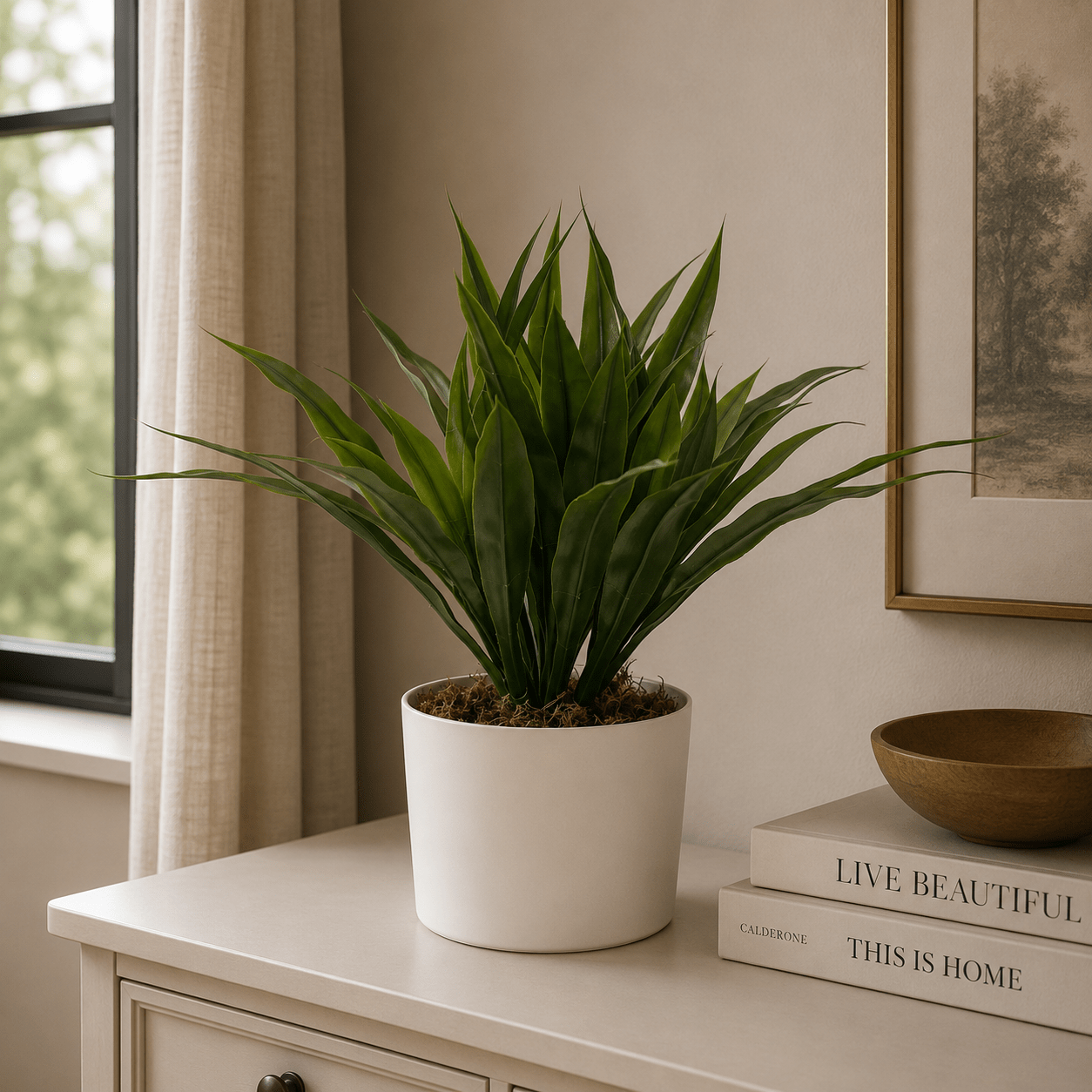 Agave Bush 40CM Plants| Roots Furniture