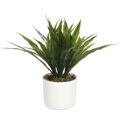 Agave Bush 40CM - Al Rugaib Furniture