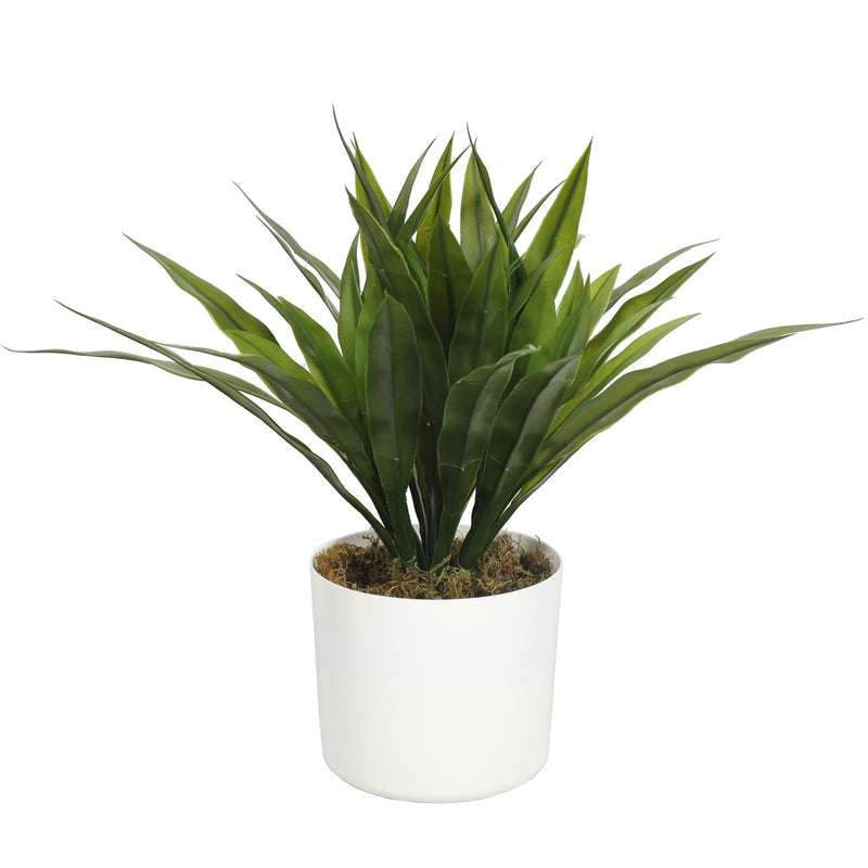 Agave Bush 40CM - Al Rugaib Furniture