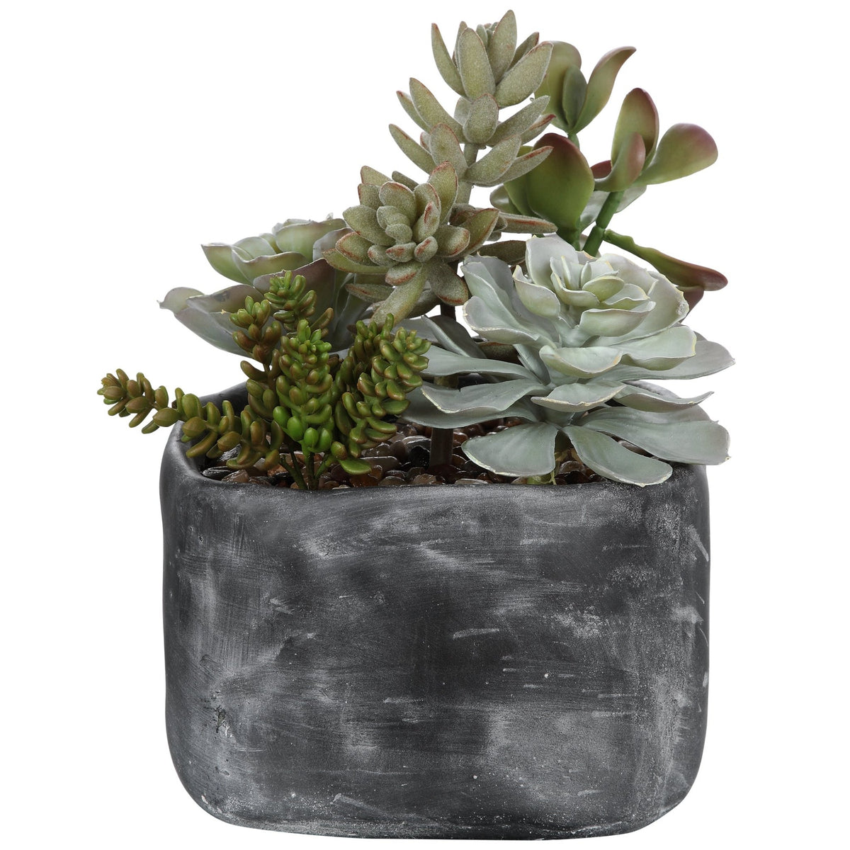 Alverio Succulents Table Decors| Uttermost