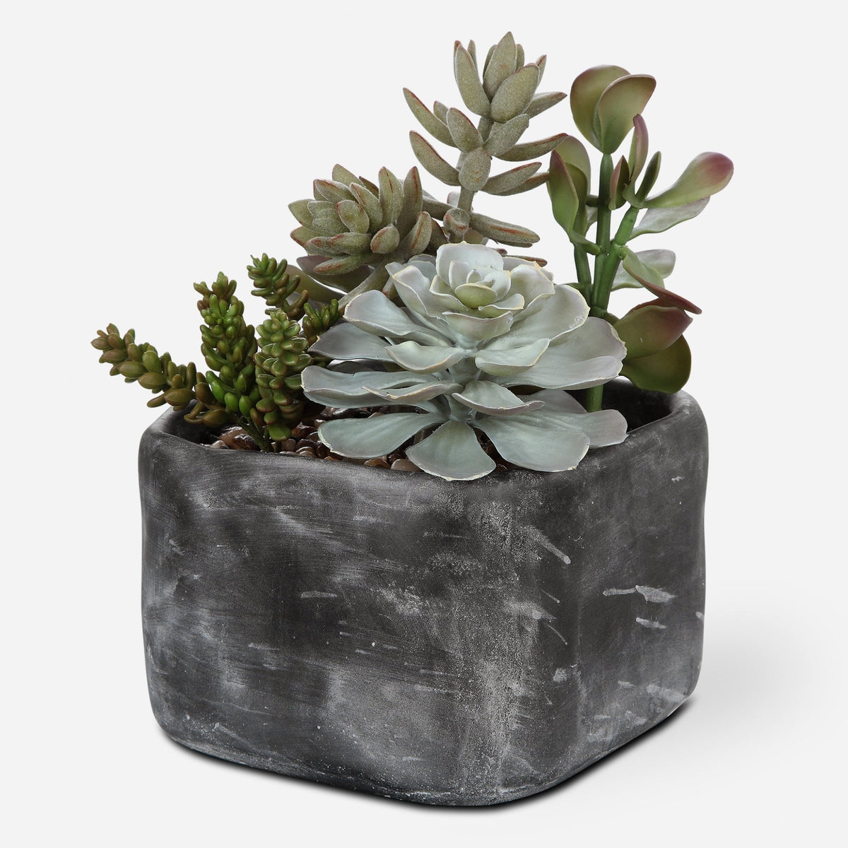 Alverio Succulents Table Decors| Uttermost