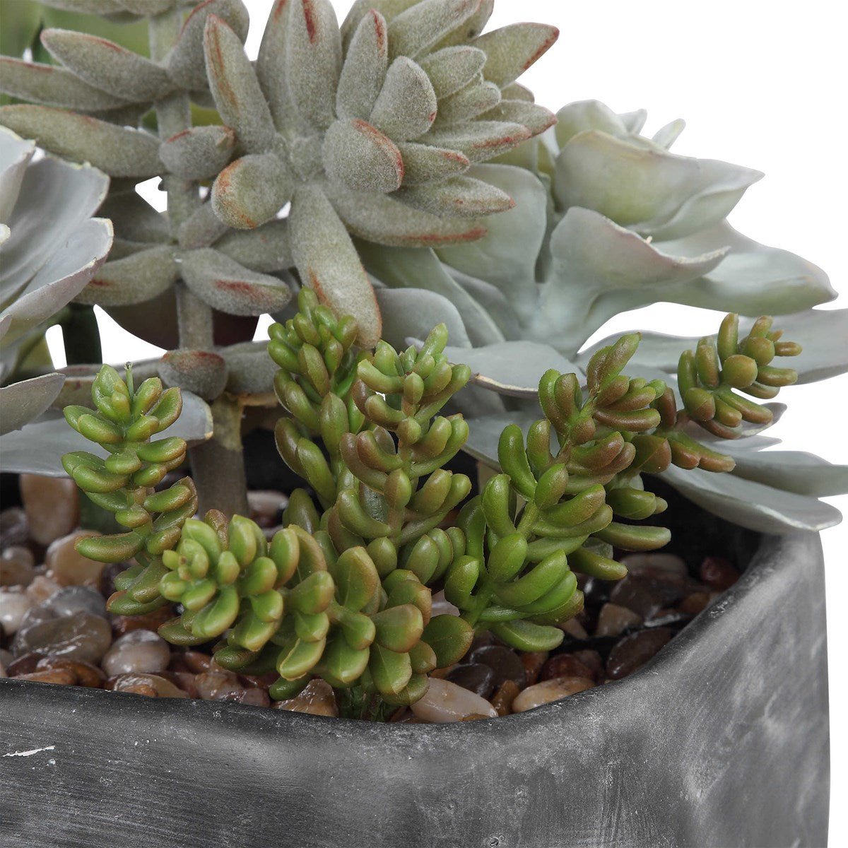 Alverio Succulents Table Decors| Uttermost