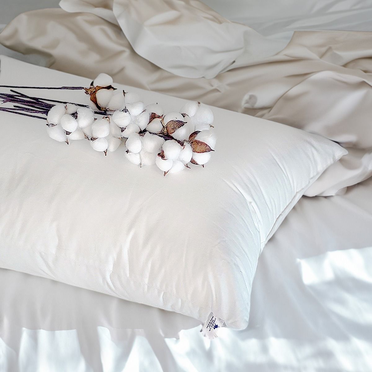 Cotton Bed Pillow with Microfiber Filling - American Polo 90×50×25