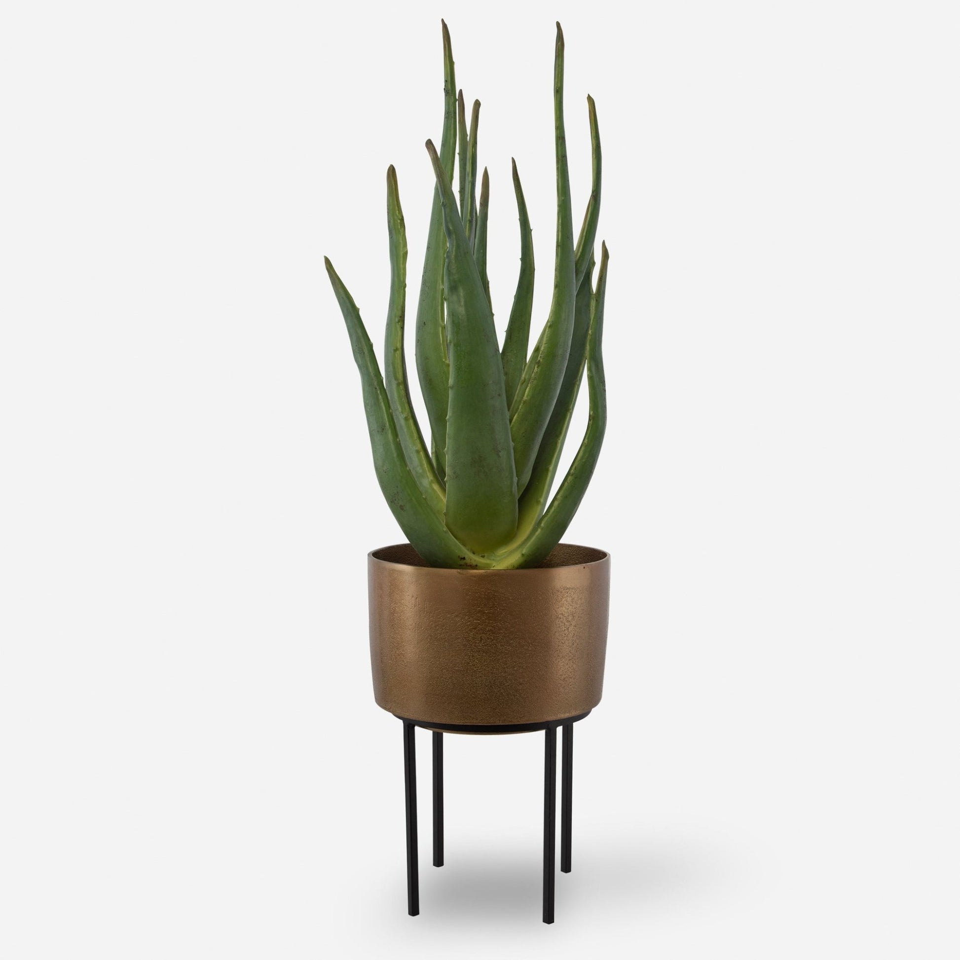 Arabia Aloe Planter, 2 Cartons Table Decors| Uttermost