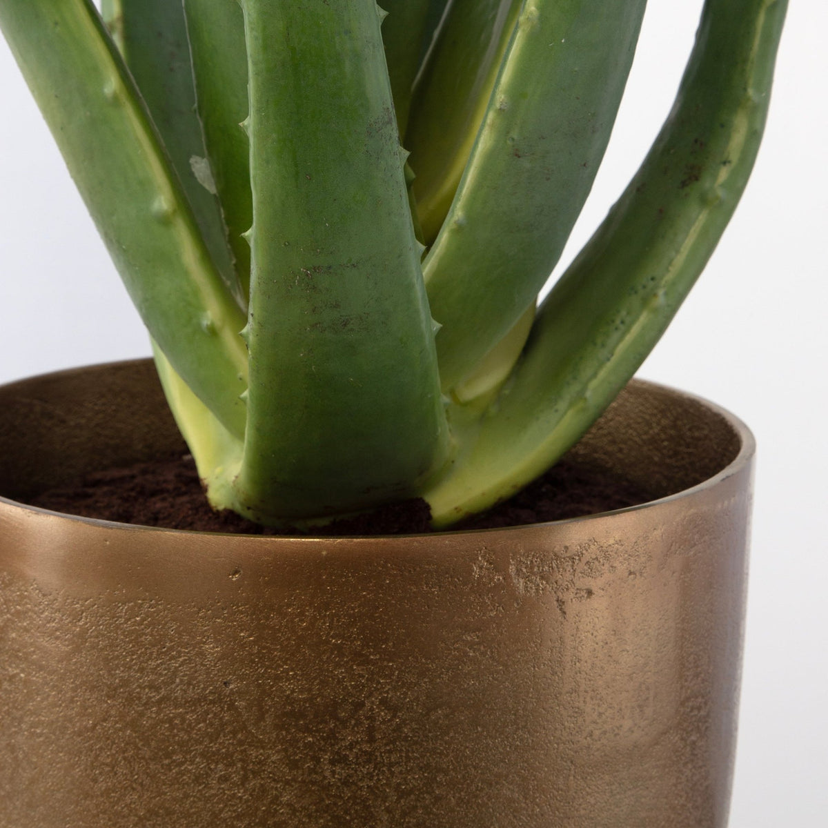 Arabia Aloe Planter, 2 Cartons Table Decors| Uttermost