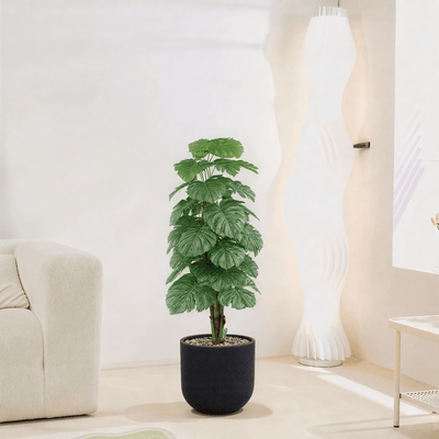 |Artificial Alocasia Heart Leaf Tree in a cylindrical plastic pot featuring large, symmetrical leaves. Number of branches: 1 Tub type: Durable plastic Tub shape: Cylindrical Available colors: black spray - Al Rugaib Furniture