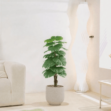 |Artificial Alocasia Heart Leaf Tree in a cylindrical plastic pot featuring large, symmetrical leaves.
Number of branches: 1
Tub type: Durable plastic
Tub shape: Cylindrical
Available colors: torabi spray