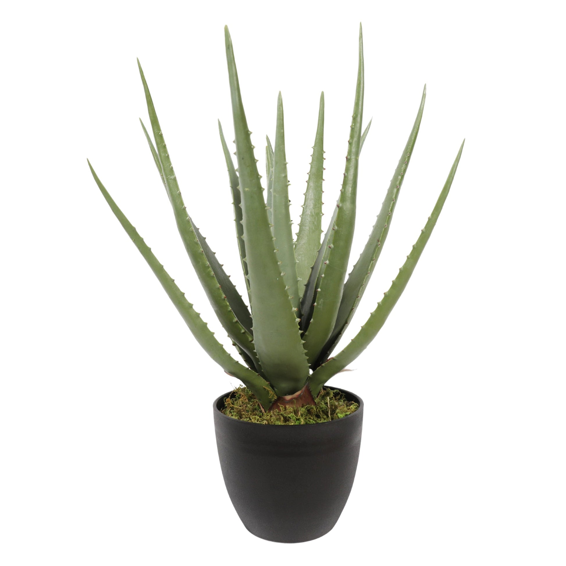 Artificial ALOE 45CM Premium Plants| Roots Furniture