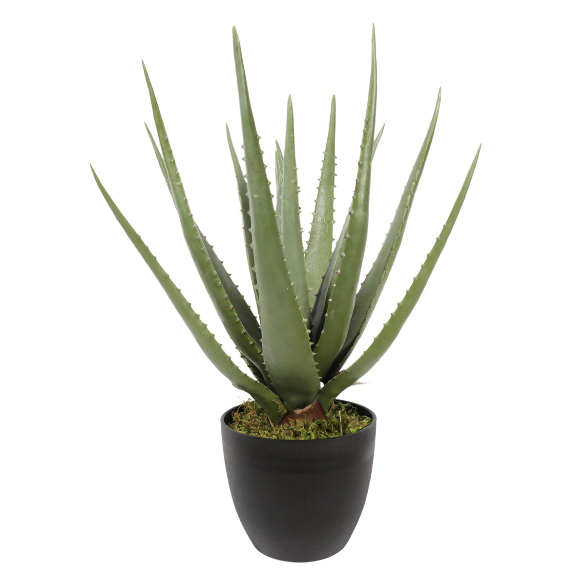Artificial ALOE 45CM Premium Plants| Roots Furniture
