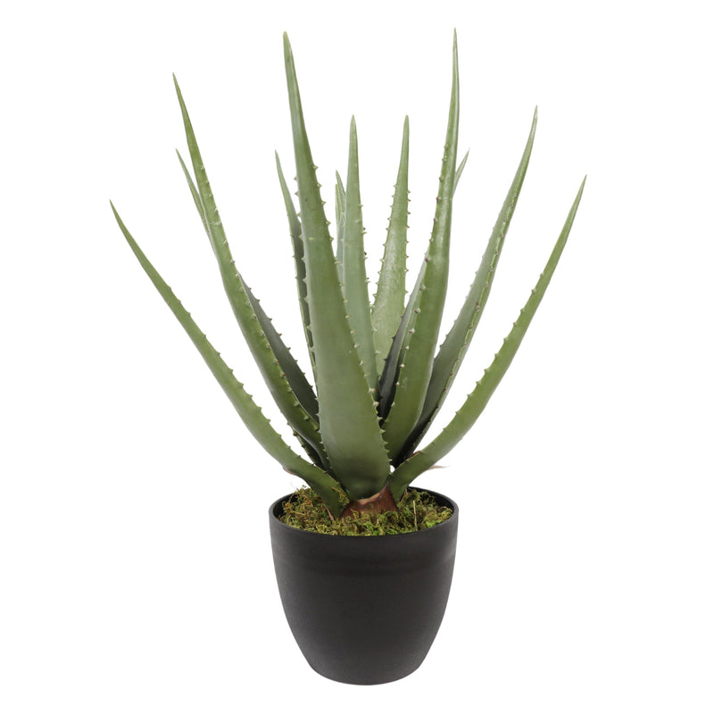 Artificial ALOE 45CM Premium - Al Rugaib Furniture