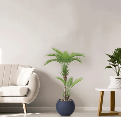 Artificial Areca tree with two branches and a round fiber pot. Available in: black. - Al Rugaib Furniture