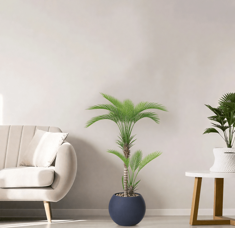 Artificial Areca tree with two branches and a round fiber pot. Available in: black. - Al Rugaib Furniture
