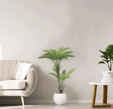 Artificial Areca tree with two branches and a round fiber pot. Available in: white spray.