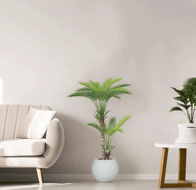 Artificial Areca tree with two branches and a round fiber pot. Available in:white spray gold - Al Rugaib Furniture