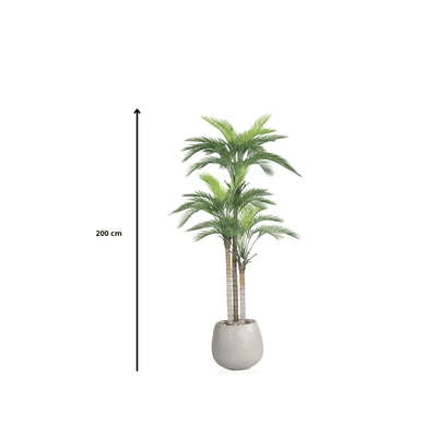Artificial Areca tree with two branches and an oval fiber pot. Available colors: cement spray - Al Rugaib Furniture