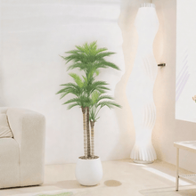 Artificial Areca tree with two branches and an oval fiber pot. Available colors:black