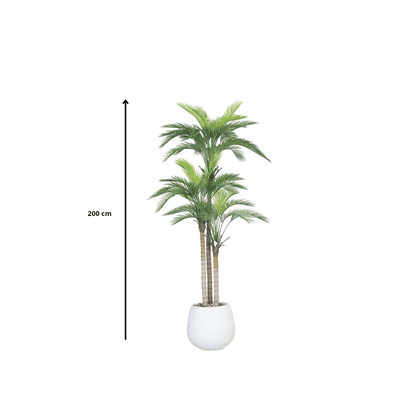Artificial Areca tree with two branches and an oval fiber pot. Available colors:black - Al Rugaib Furniture