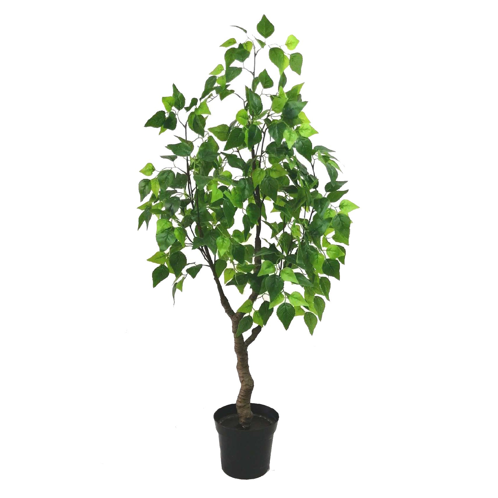 Artificial birch tree Plants| Roots Furniture