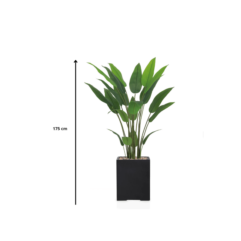 Artificial Bird of Paradise Tree features large green leaves, fiberglass stand, simple and elegant rectangle, available color: black. - Al Rugaib Furniture