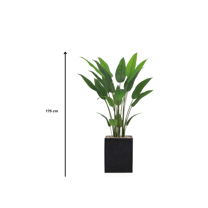 Artificial Bird of Paradise Tree features large green leaves, fiberglass stand, simple and elegant rectangle, available color: black spray. - Al Rugaib Furniture