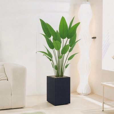 Artificial Bird of Paradise Tree features large green leaves, fiberglass stand, simple and elegant rectangle, available color: black spray. - Al Rugaib Furniture