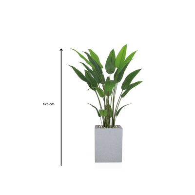 Artificial Bird of Paradise Tree features large green leaves, fiberglass stand, simple and elegant rectangle, available color: gray spray. - Al Rugaib Furniture