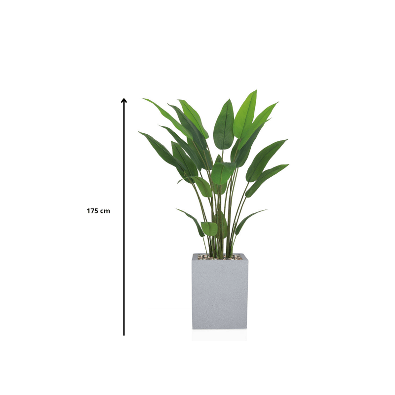 Artificial Bird of Paradise Tree features large green leaves, fiberglass stand, simple and elegant rectangle, available color: gray spray. - Al Rugaib Furniture