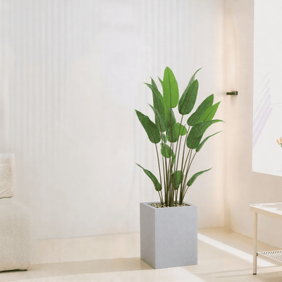 Artificial Bird of Paradise Tree features large green leaves, fiberglass stand, simple and elegant rectangle, available color: gray spray. - Al Rugaib Furniture
