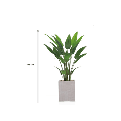 Artificial Bird of Paradise Tree features large green leaves, fiberglass stand, simple and elegant rectangle, available color: torabi spray. - Al Rugaib Furniture
