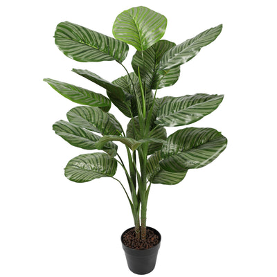 Artificial Calathea Green Plant 120CM - Al Rugaib Furniture