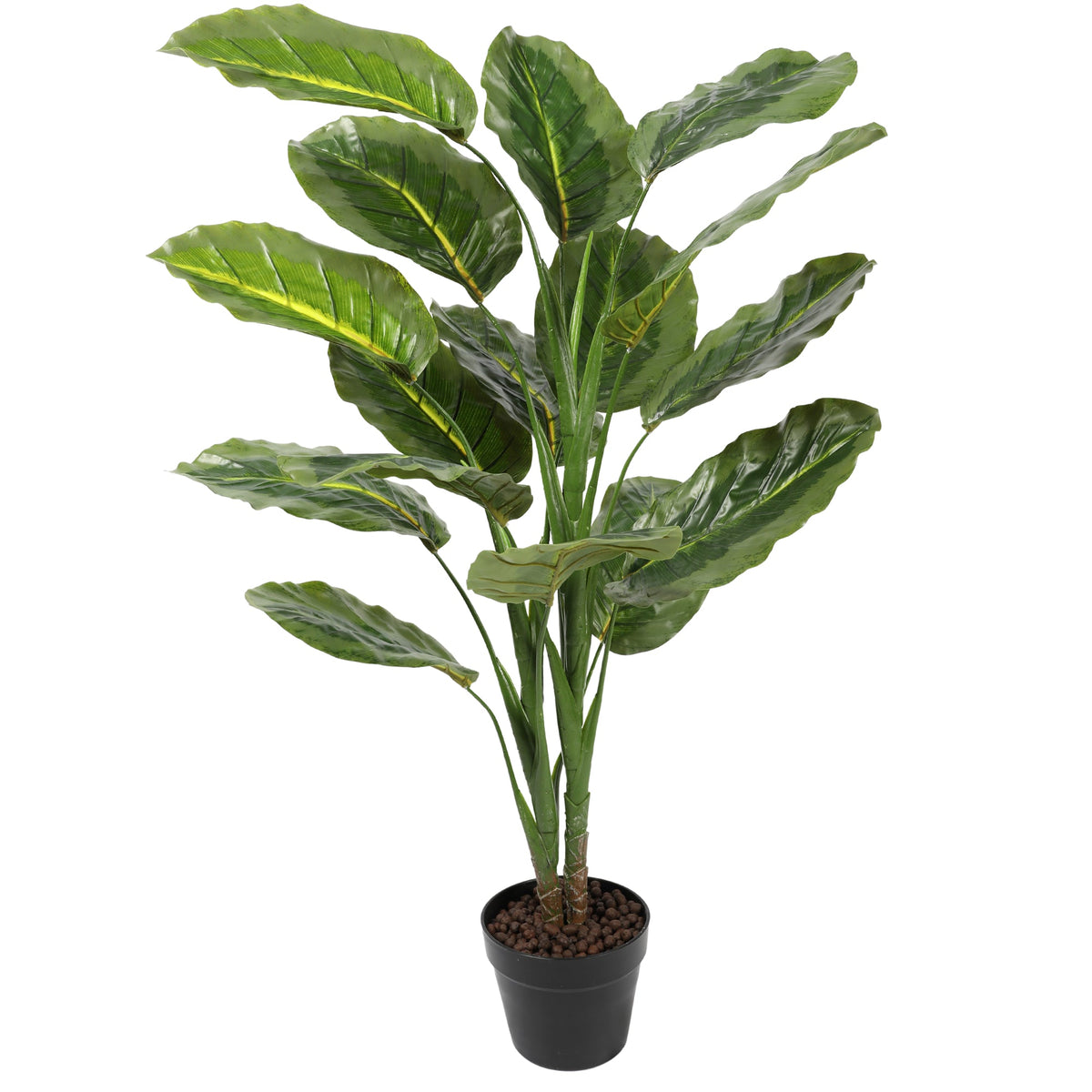 Artificial Calathea Green Plant 120CM Light Green Plants| Roots Furniture