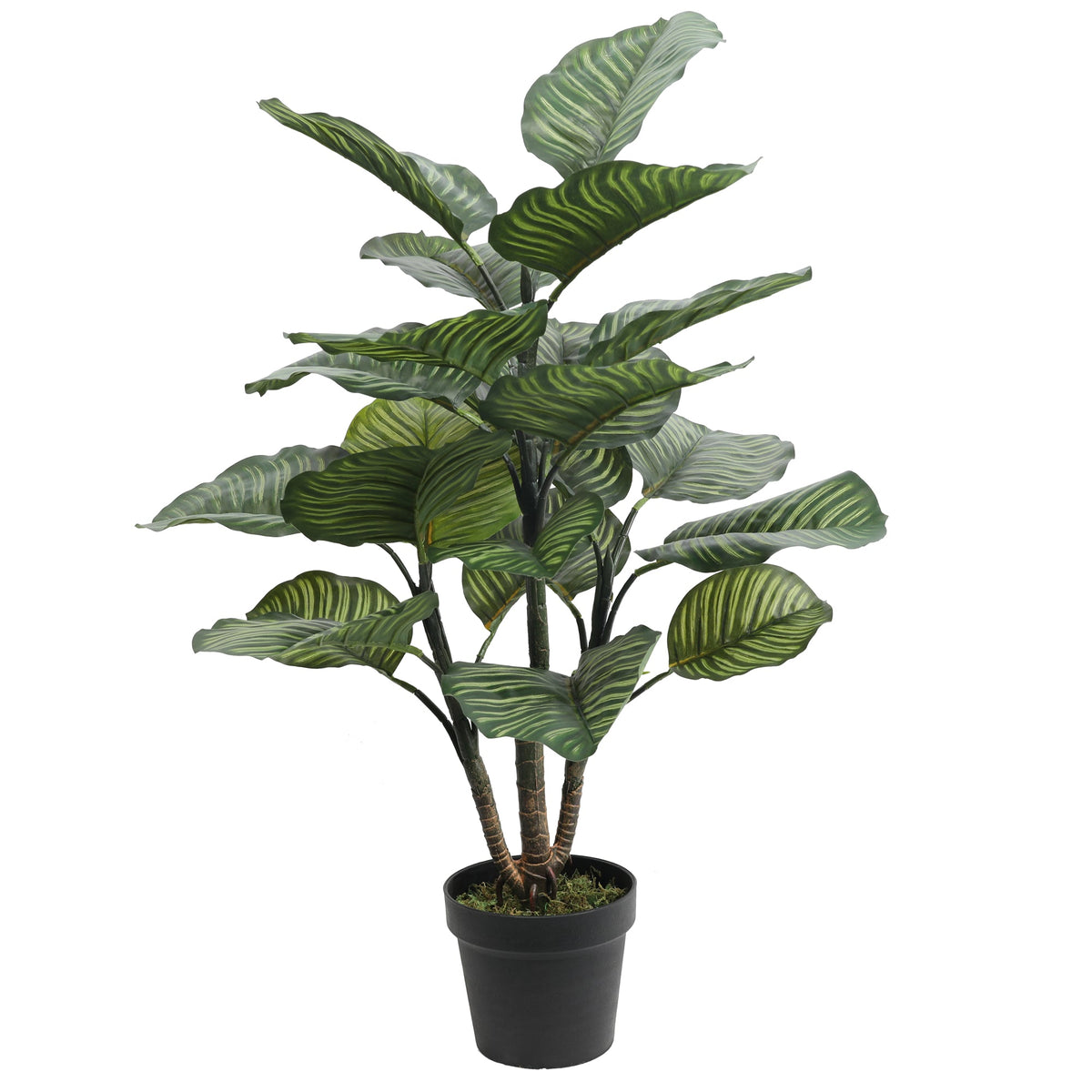 Artificial Calathea Rotundifolia 102CM Height Plants| Roots Furniture