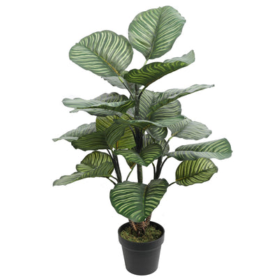 Artificial Calathea Rotundifolia 102CM Height - Al Rugaib Furniture