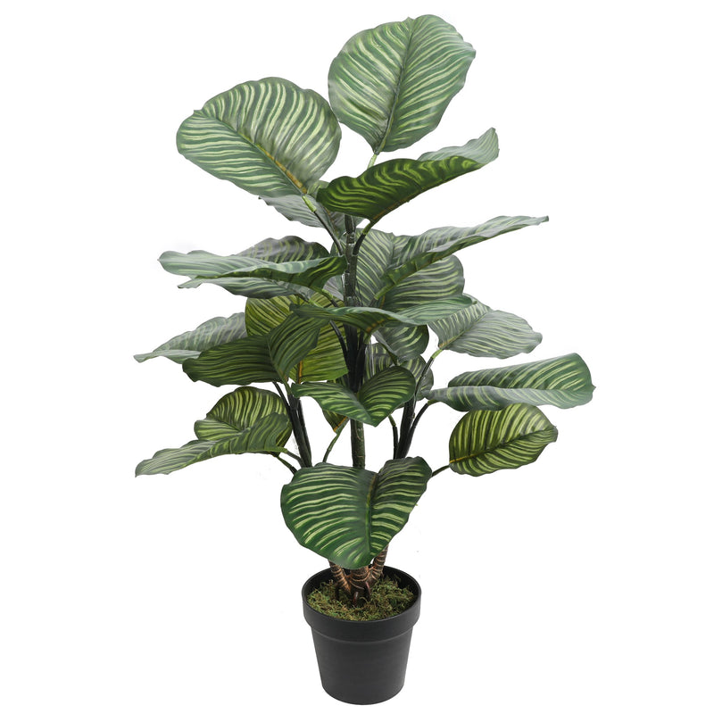 Artificial Calathea Rotundifolia 102CM Height - Al Rugaib Furniture