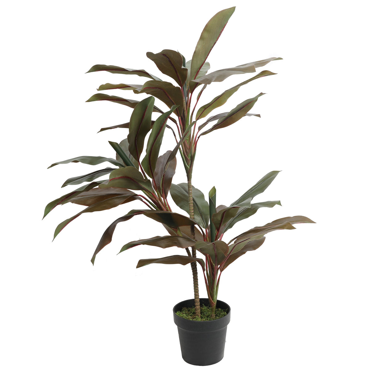 Artificial CORDYLINE FRUTICOSA 95CM 41 Leaves Plants| Roots Furniture