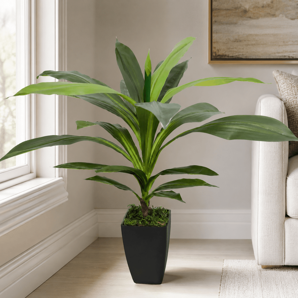 Artificial DRACAENA FRAGRANS 55CM 22 Leaves Plants| Roots Furniture