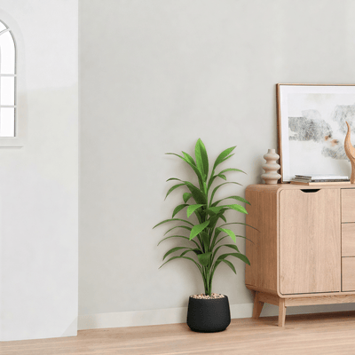 Artificial Dracaena plant, elegant cylindrical plastic pot. Available colors: black spray - Al Rugaib Furniture