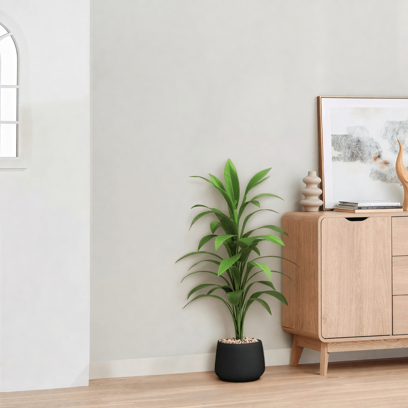 Artificial Dracaena plant, elegant cylindrical plastic pot. Available colors: black spray - Al Rugaib Furniture