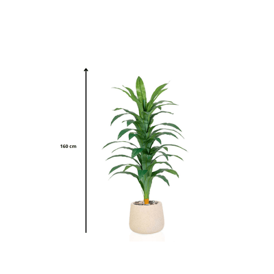 Artificial Dracaena plant, elegant cylindrical plastic pot. Available colors:, off white spray. - Al Rugaib Furniture