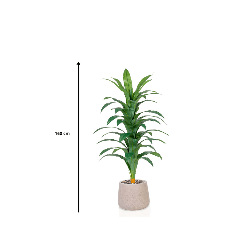 Artificial Dracaena plant, elegant cylindrical plastic pot. Available colors: torabi spray. Artificial Plants| Otath