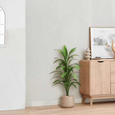 Artificial Dracaena plant, elegant cylindrical plastic pot. Available colors: torabi spray. - Al Rugaib Furniture