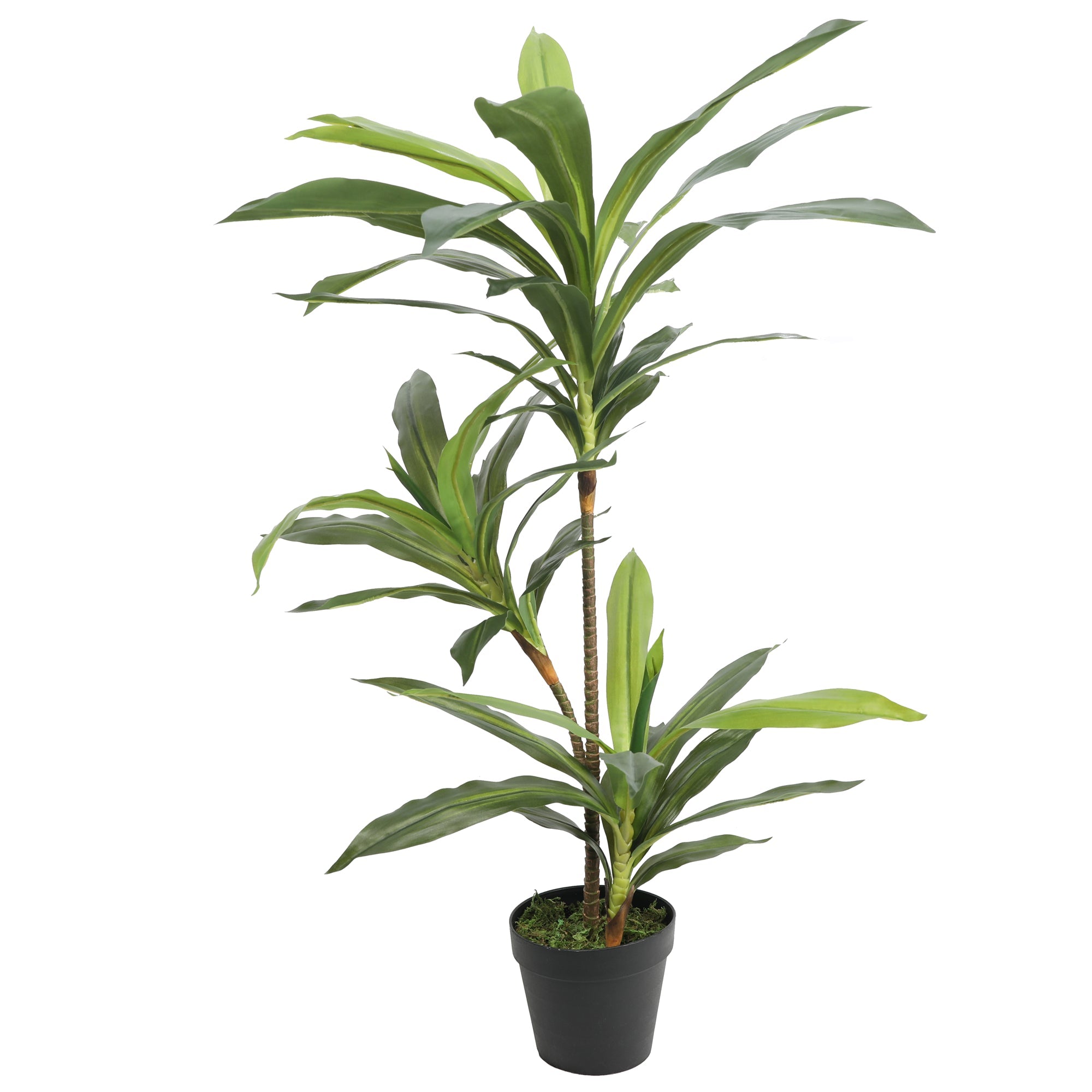 Artificial Dracaena Plants 90CM 50 Leaves Plants| Roots Furniture