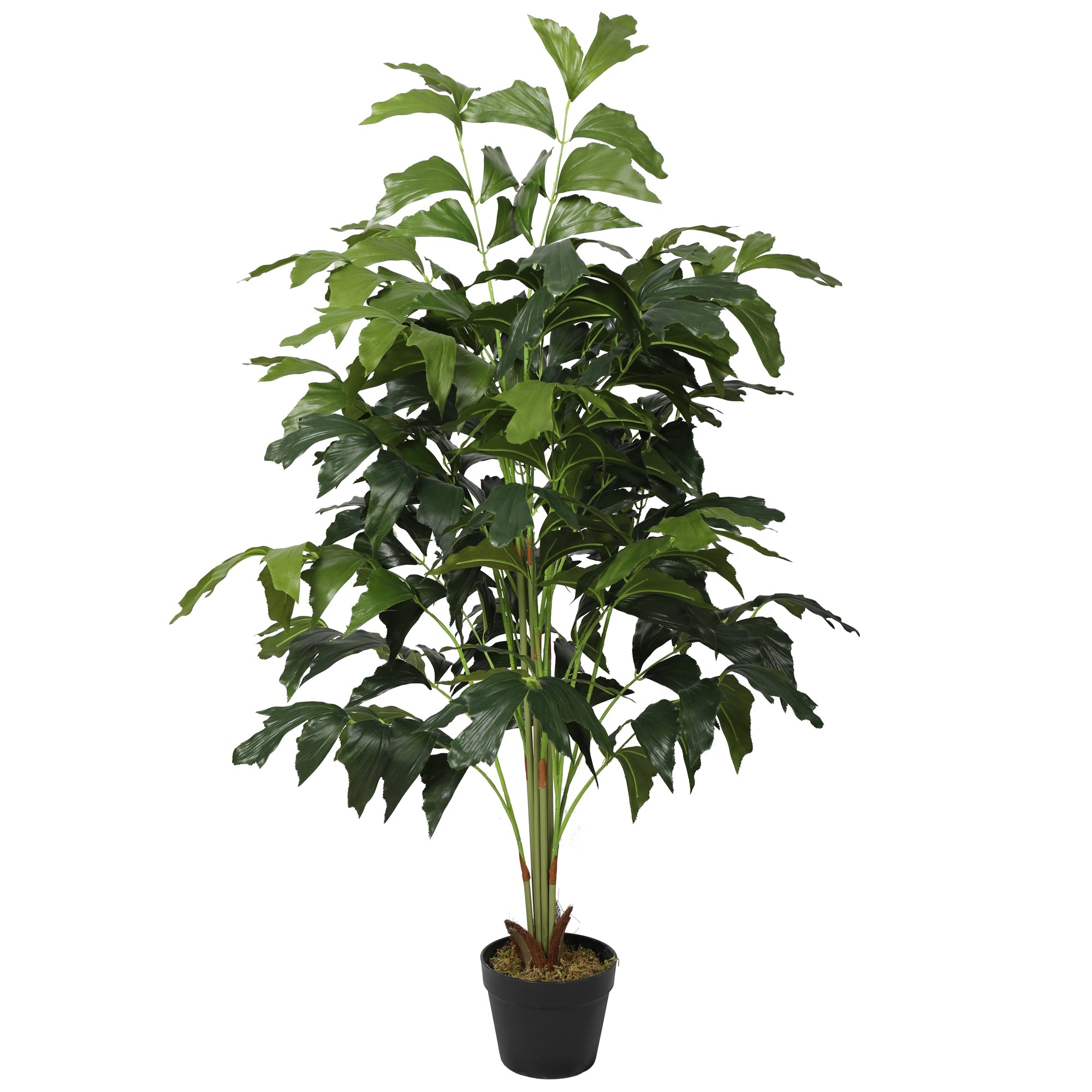 Artificial Fish Tail Palm Tree 120CM Indoor Plants| Roots Furniture