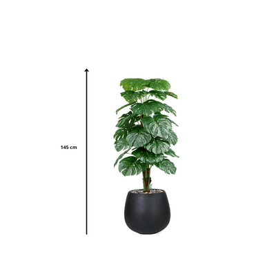 |Artificial heart - leaf (Alocasia) tree with oval fiberglass base featuring large, heart - shaped leaves. Number of branches: 1. Tub type: Durable fiberglass. Available colors: black. - Al Rugaib Furniture