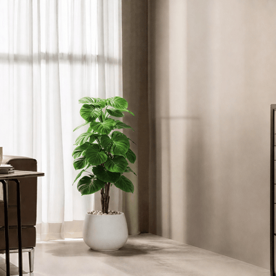 |Artificial heart - leaf (Alocasia) tree with oval fiberglass base featuring large, heart - shaped leaves. Number of branches: 1. Tub type: Durable fiberglass. Available colors: White. - Al Rugaib Furniture