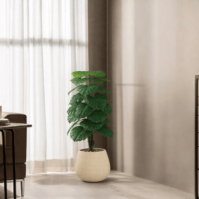 |Artificial heart - leaf (Alocasia) tree with oval fiberglass base featuring large, heart - shaped leaves. Number of branches: 1. Tub type: Durable fiberglass. Available colors: off white spray - Al Rugaib Furniture