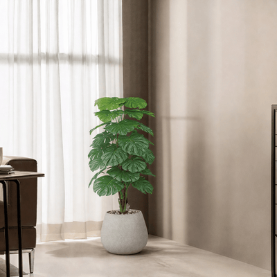 |Artificial heart - leaf (Alocasia) tree with oval fiberglass base featuring large, heart - shaped leaves. Number of branches: 1. Tub type: Durable fiberglass. Available colors: gray spray. - Al Rugaib Furniture