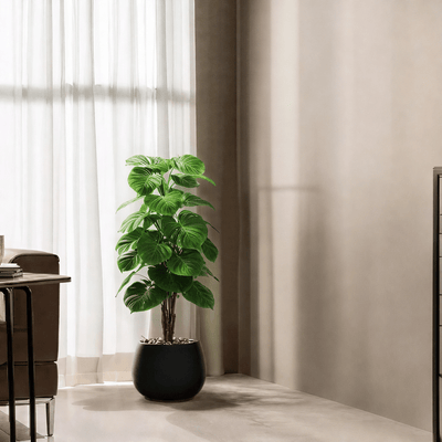 |Artificial heart - leaf (Alocasia) tree with oval fiberglass base featuring large, heart - shaped leaves. Number of branches: 1. Tub type: Durable fiberglass. Available colors: black spray - Al Rugaib Furniture