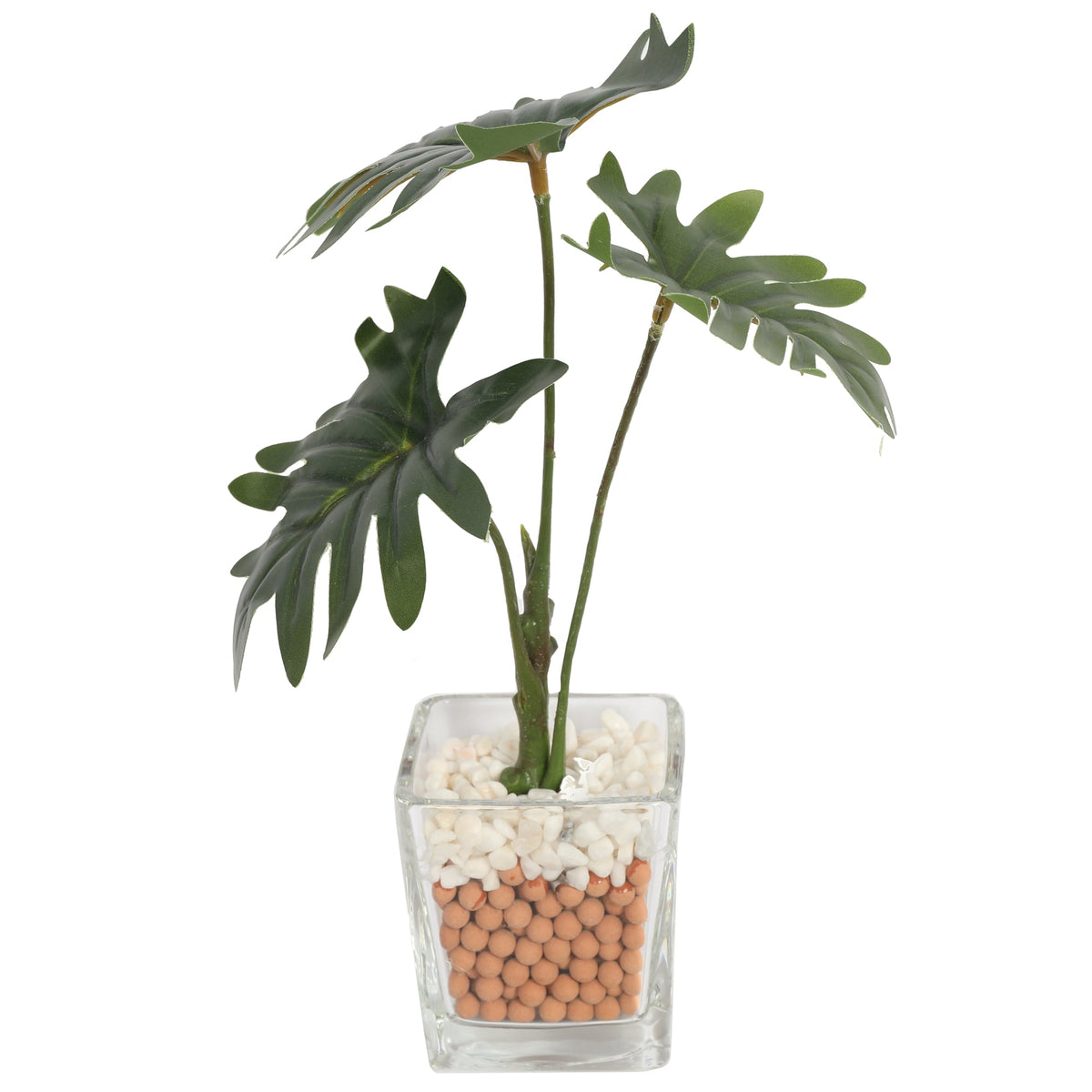 Artificial Mini Philo Plants 26CM with Glass Planter Plants| Roots Furniture